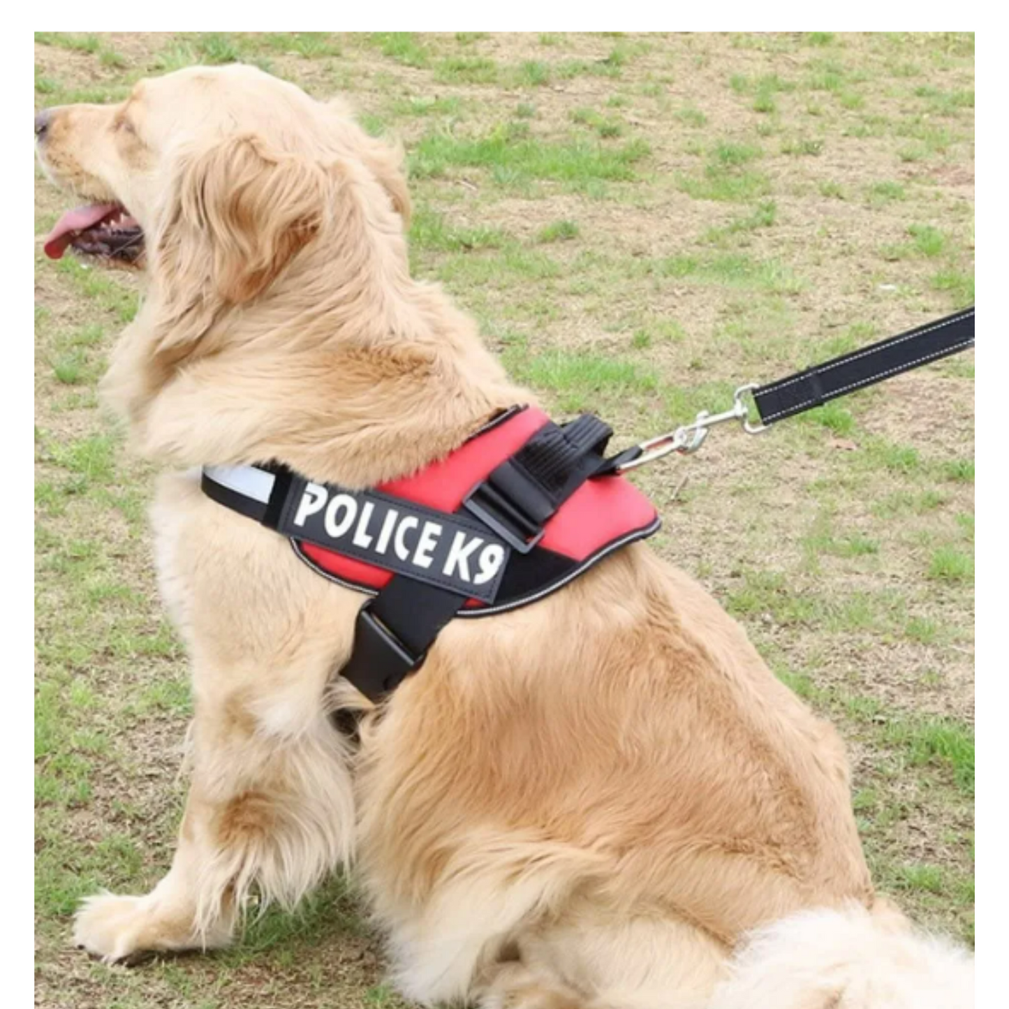Arnés para perros K9 Rosado XXL