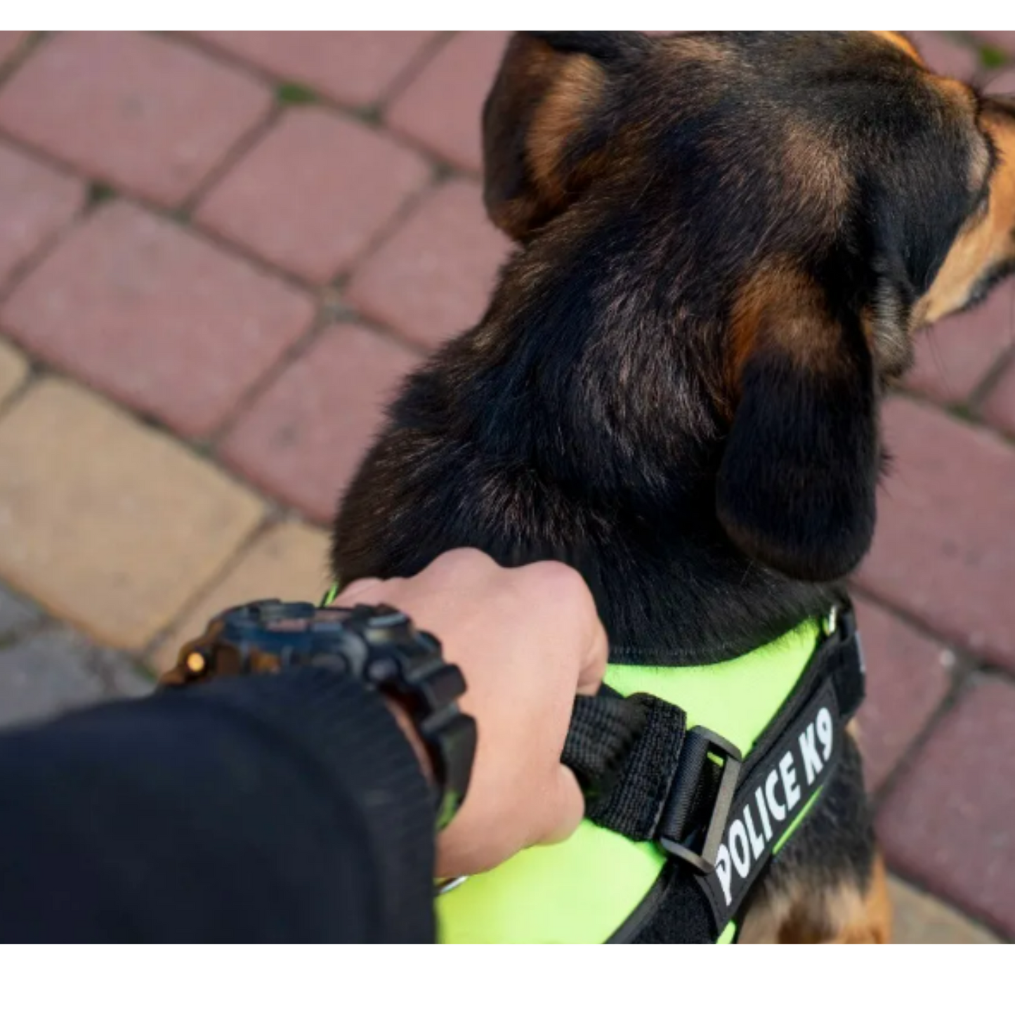 Arnés para perros K9 Militar XXL