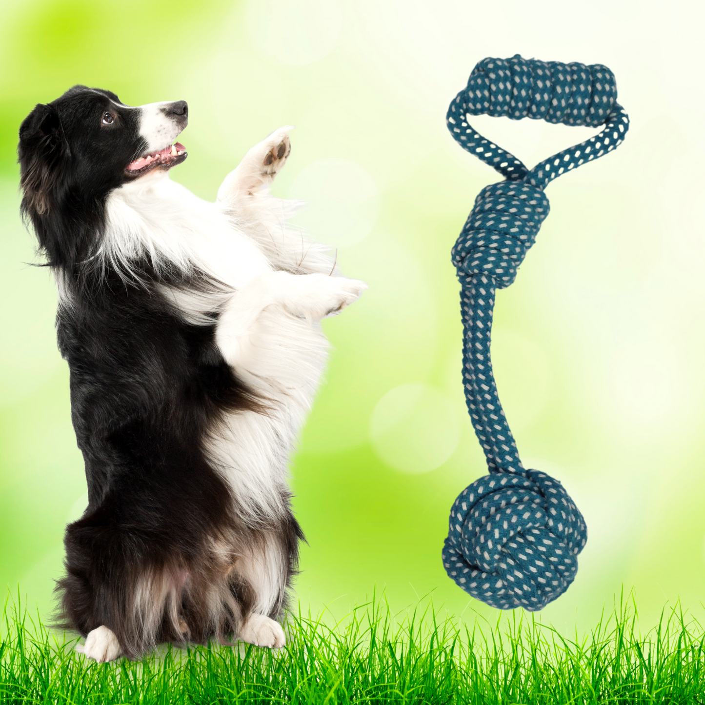 Juguete cuerda de algodón con pelota para mascotas Azul