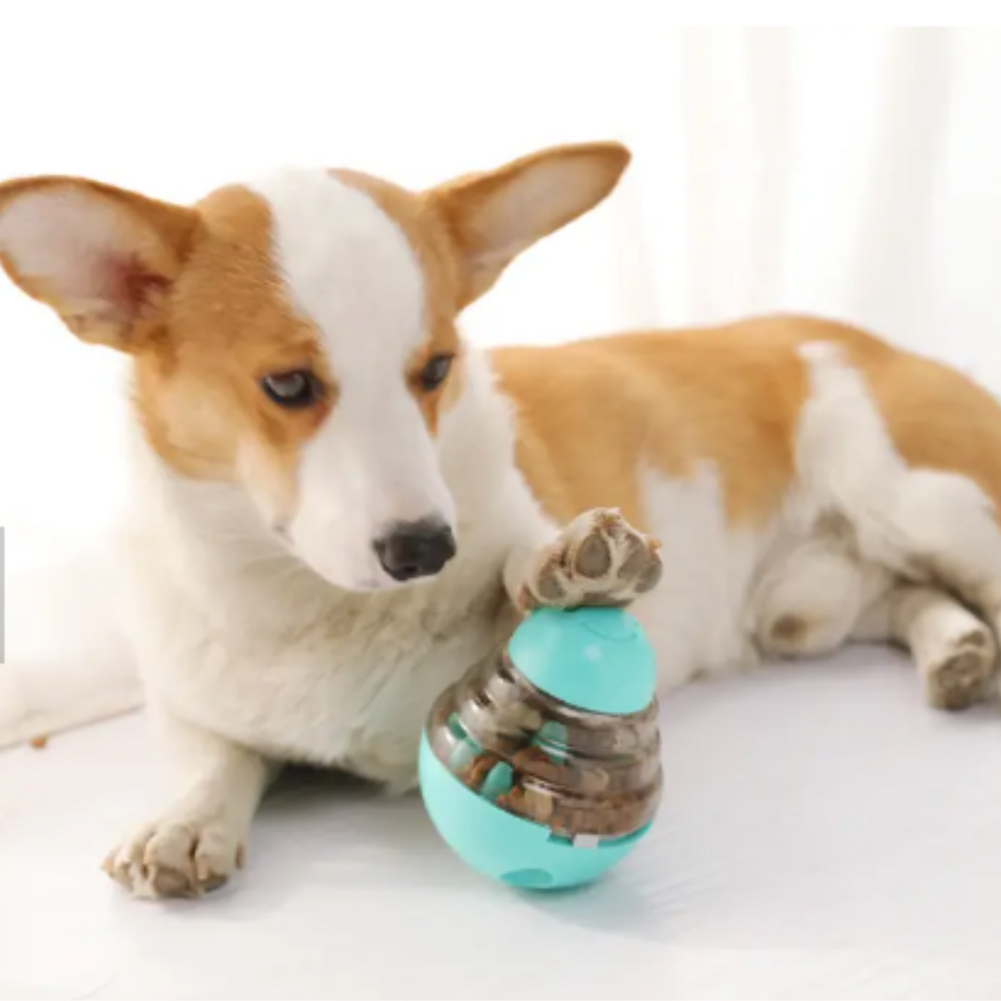 Comedero interactivo para mascotas Calipso