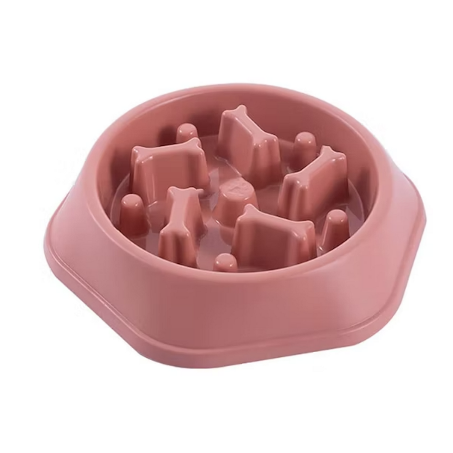 PLATO COME LENTO MASCOTAS