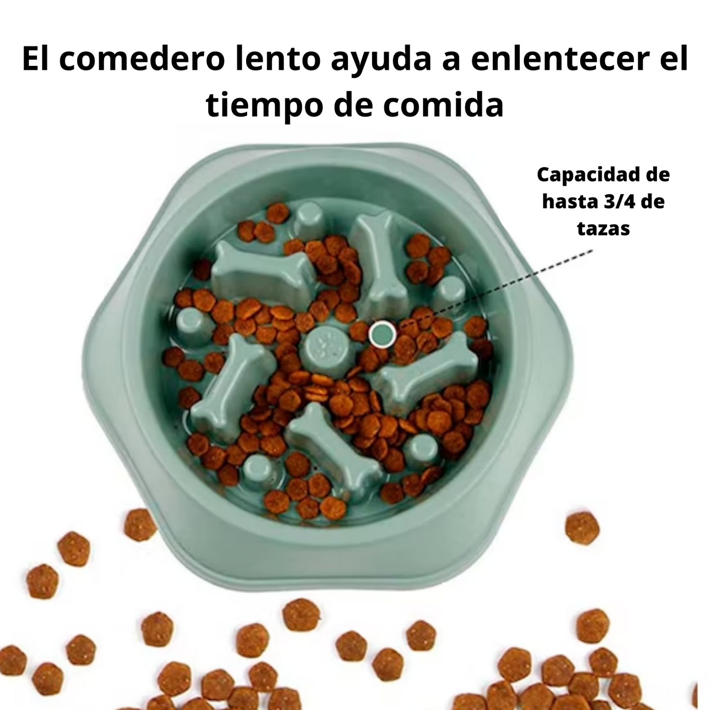 PLATO COME LENTO MASCOTAS