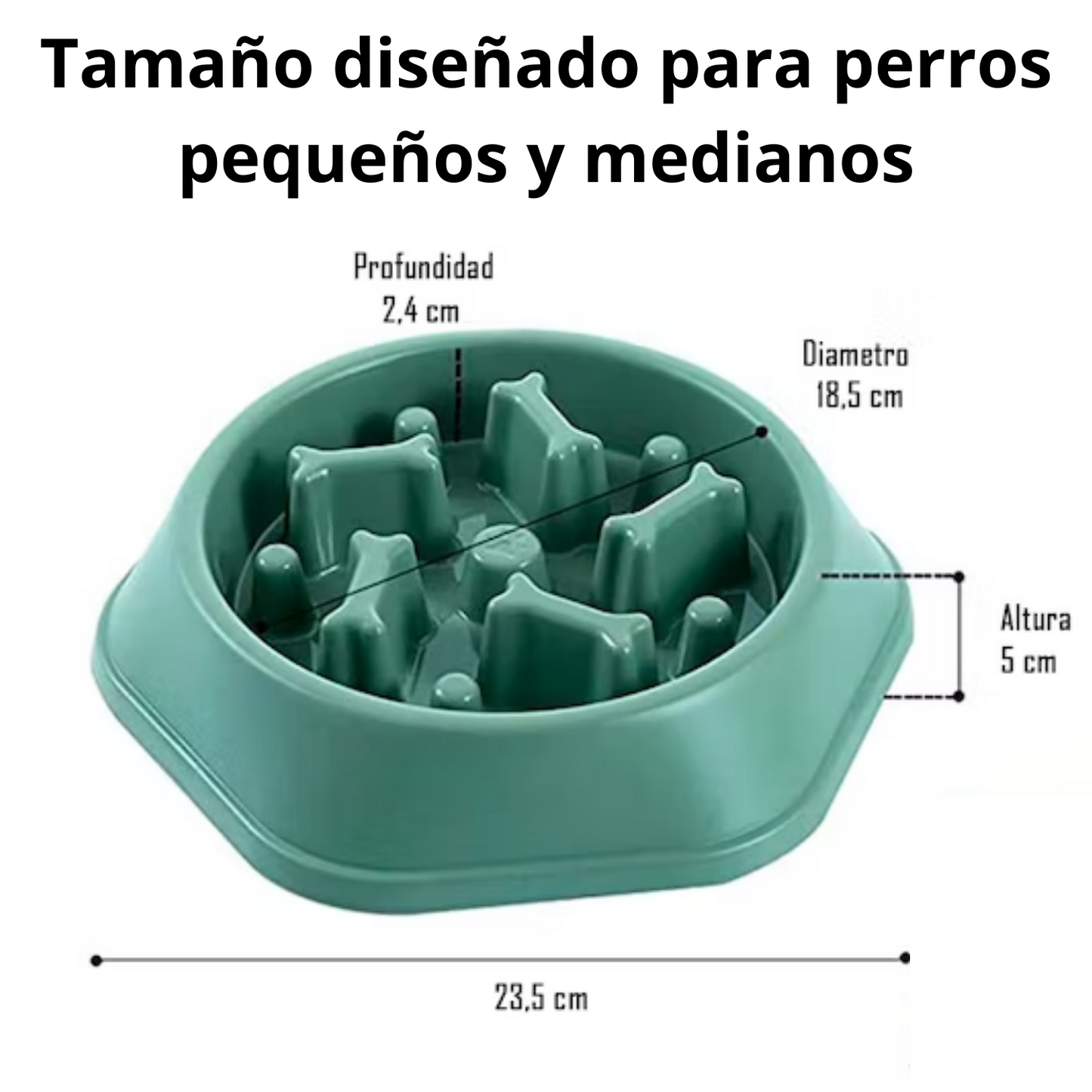 PLATO COME LENTO MASCOTAS