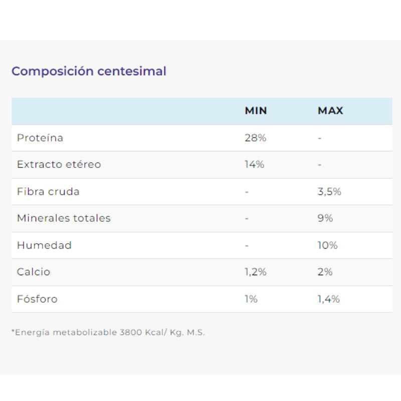 Alimento Perro Cachorro Raza Pequeña Complete