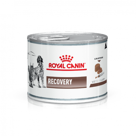 Lata Recovery Royal Canin 145 grs