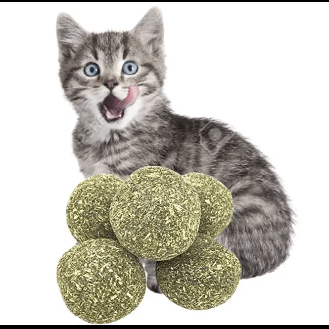 PELOTAS CATNIP 5UN 3CM