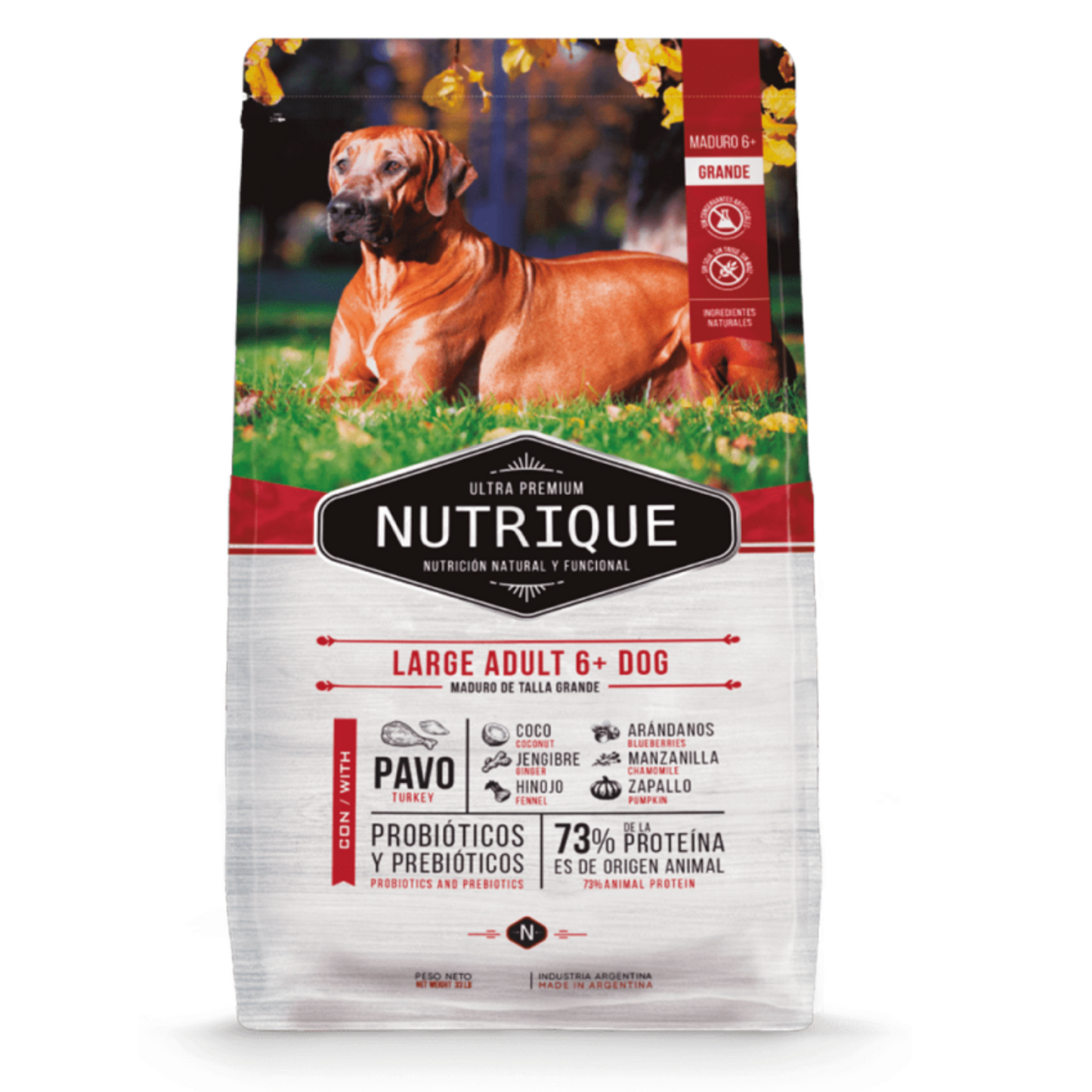 Nutrique Large Adult 6+ Dog