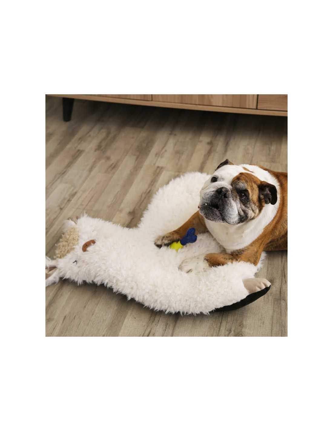 CAMA LLAMA TALLA L