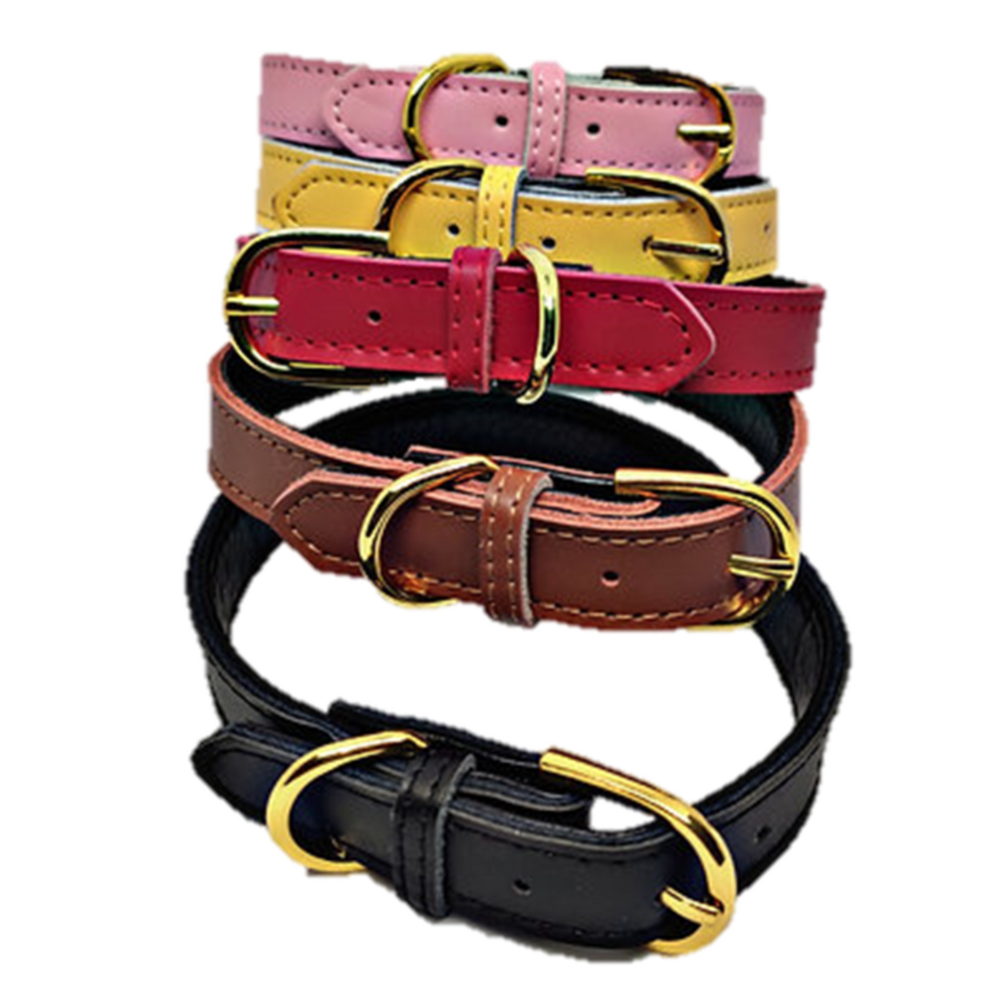 COLLAR M MASCOTA COLORES