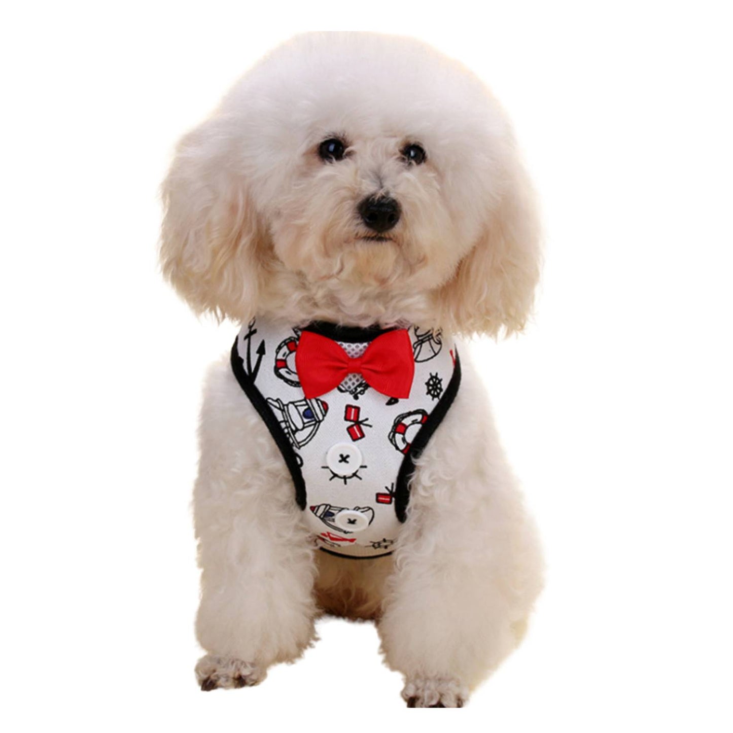 ARNES PERRO ELEGANTE S