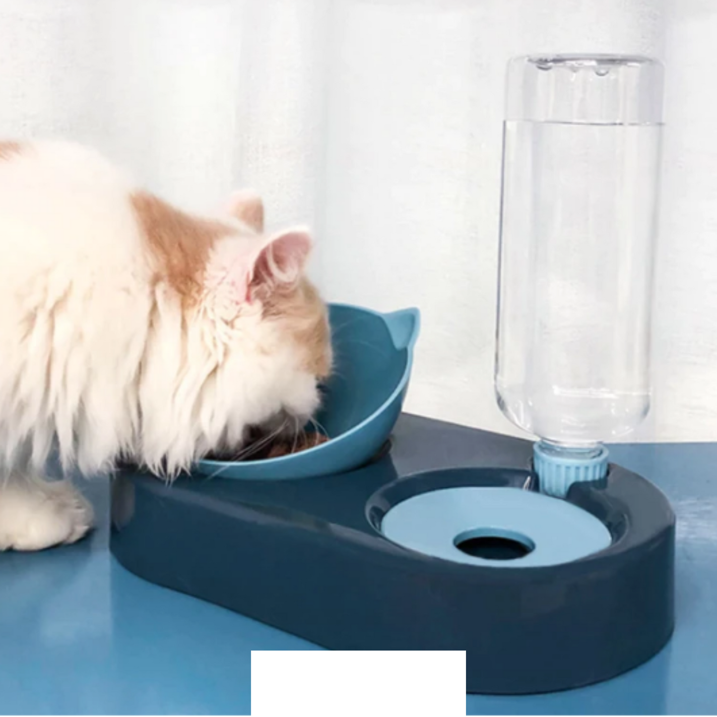 Comedero para gatos con dispensador de agua Azul