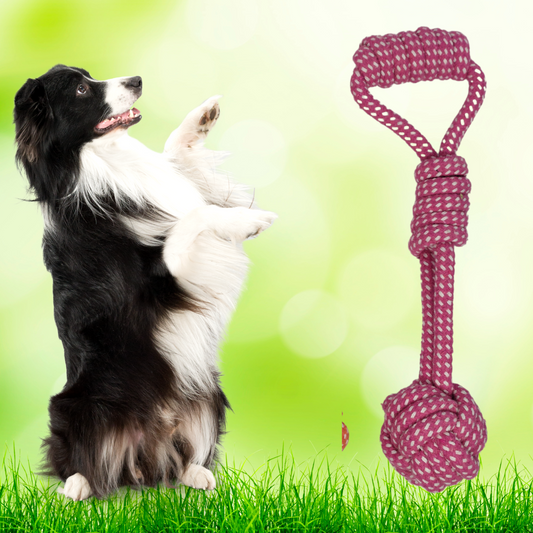 Juguete cuerda de algodón con pelota para mascotas Rosado