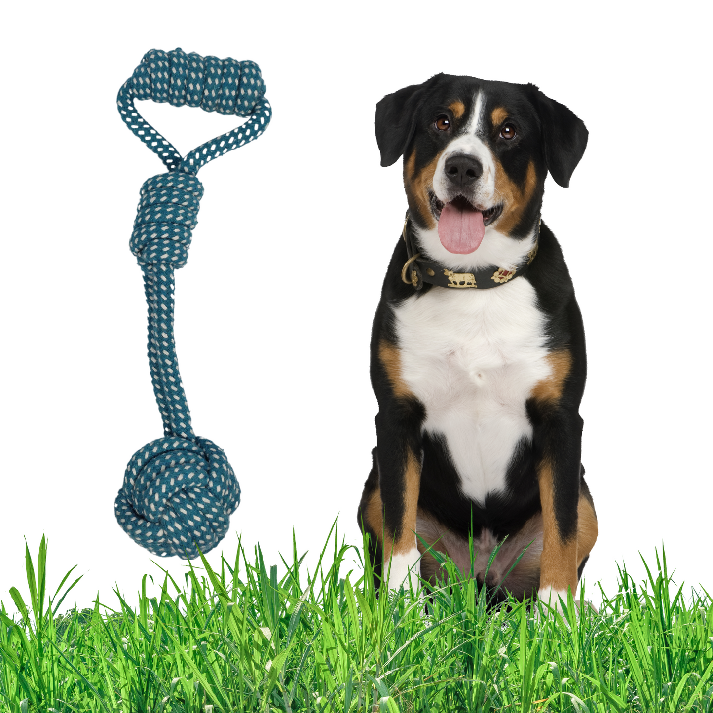 Juguete cuerda de algodón con pelota para mascotas Azul